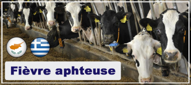 actu-aphteuse_cg.png