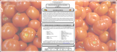 Bulletin Mensuel Fruits et Légumes