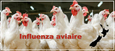 actu-influenza.png