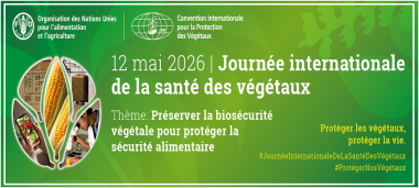 actu-jisp-2026.png