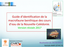 restitution-guide-identification-macrofaune-benthique-cours-eau-nc.png