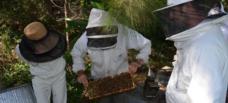 Avant de s&#039;entretenir avec les apiculteurs, Nicolas Metzdorf a effectué la visite guidée d&#039;un rucher.