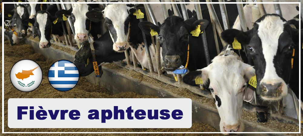 actu-aphteuse_cg.png