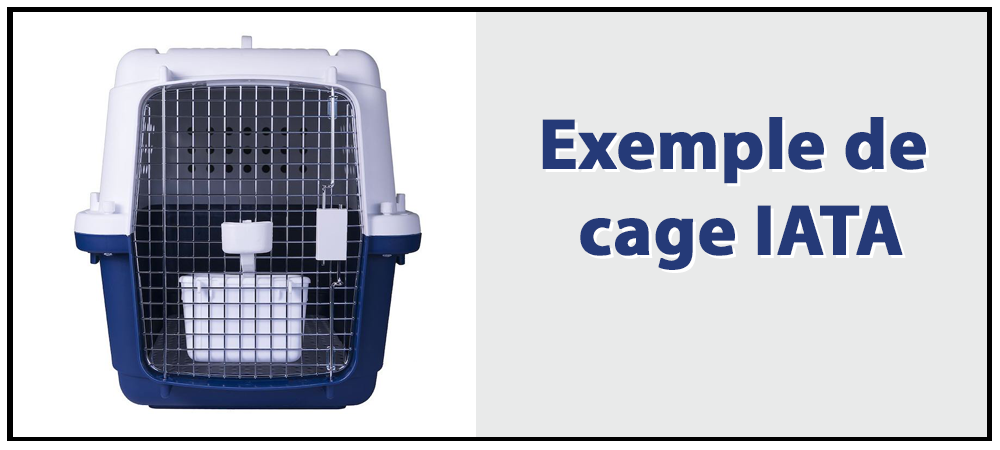 actu-cages-iata.png