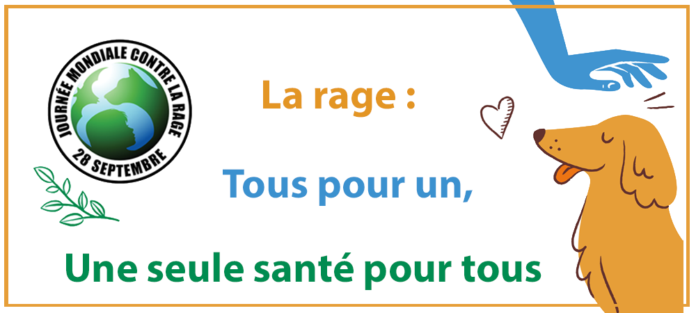 actu-jm-rage.png actu-jm-rage.png