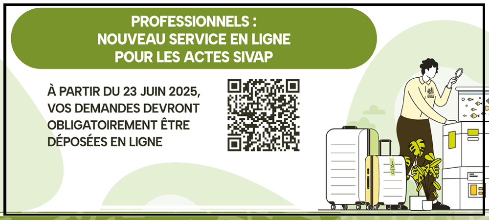 actu-prestations.png actu-prestations.png